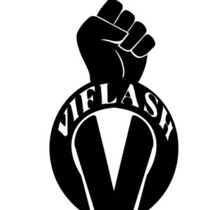 VIFLASH LOGO SAMPLE